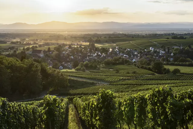 Blick auf Laufen