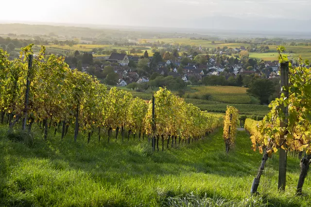 Blick auf Laufen im Herbst